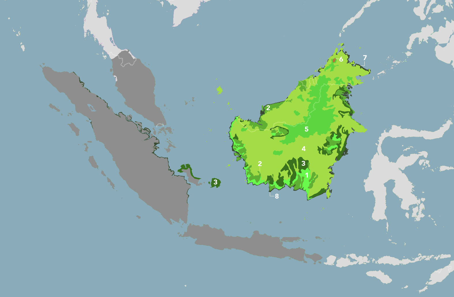 Borneo Tropical Forests & Sundaland Heath Forests (IM16) One Earth